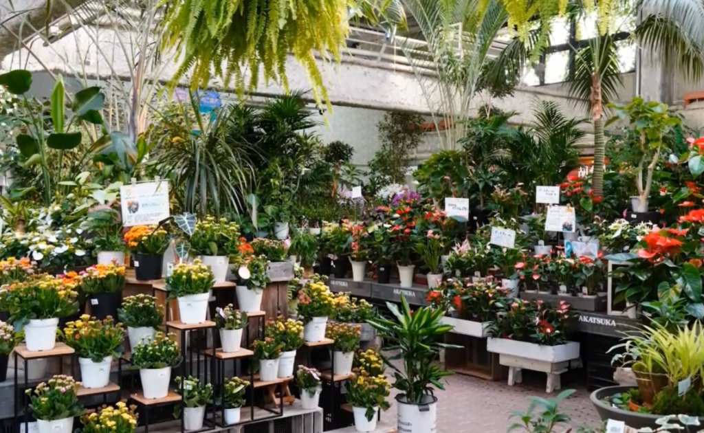 🌸 시라카와 플라워 월드(白河フラワーワールド) 이미지 6